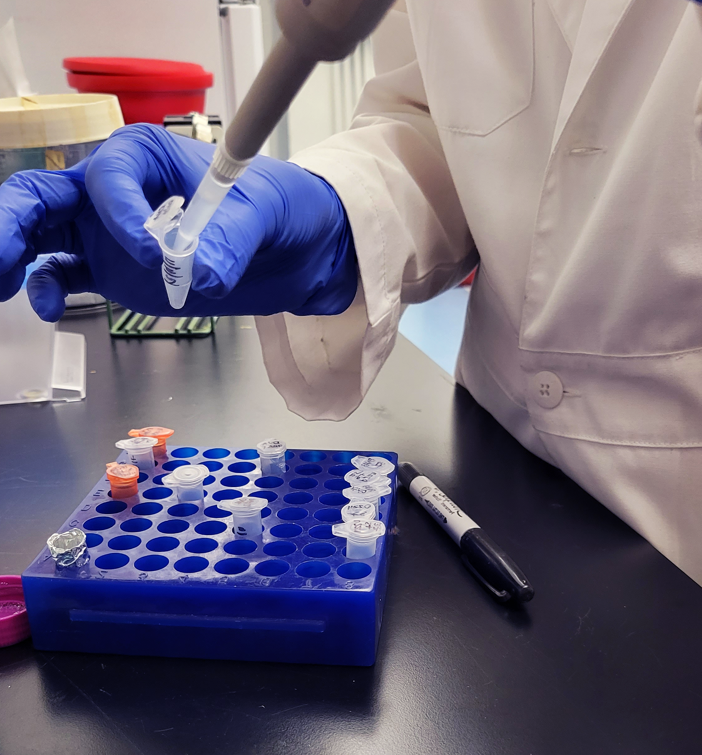 الكيمياء والكيمياء الحيوية